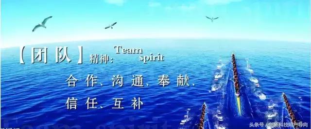 一个团队如何管理,团队项目管理软件