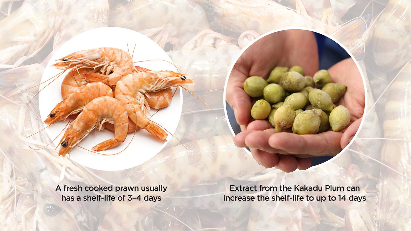 卡卡杜李吃了有什么作用,卡卡杜李身体乳能美白吗