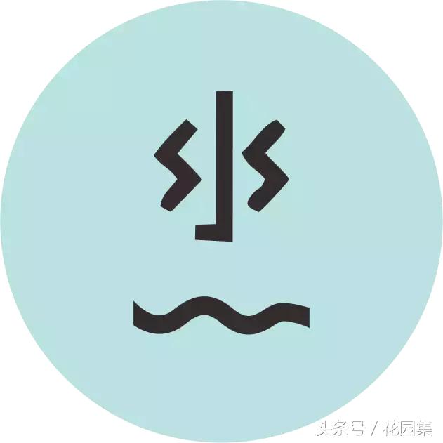 庭院栽什么树风水好,庭院最好的风水布局