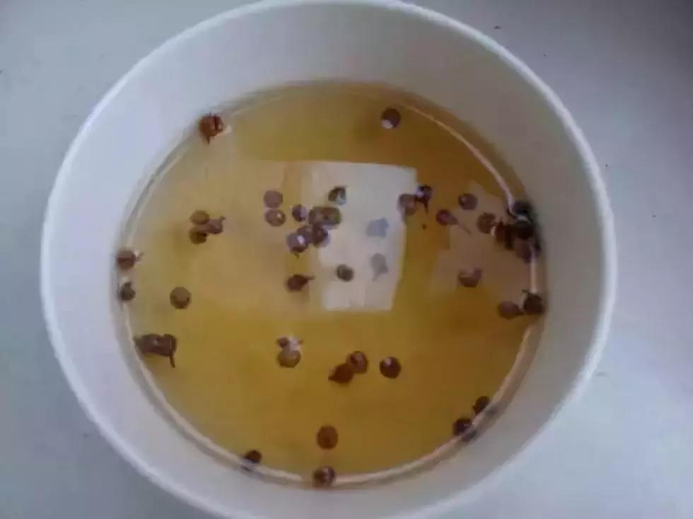 最不可思议的泡酒材料,十种最奇葩的泡酒