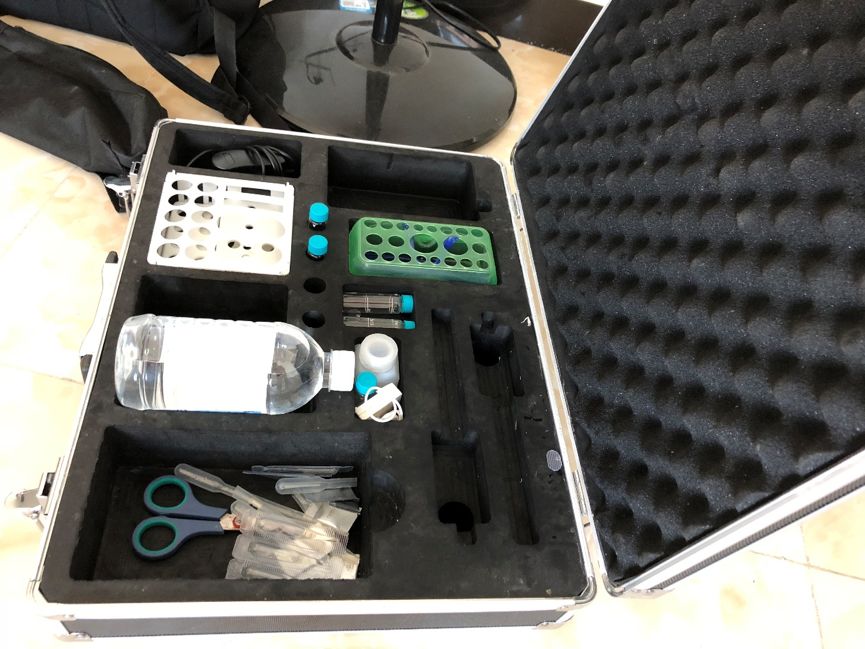 担心甲醛怎么办,装修的房子用绿萝能吸甲醛吗