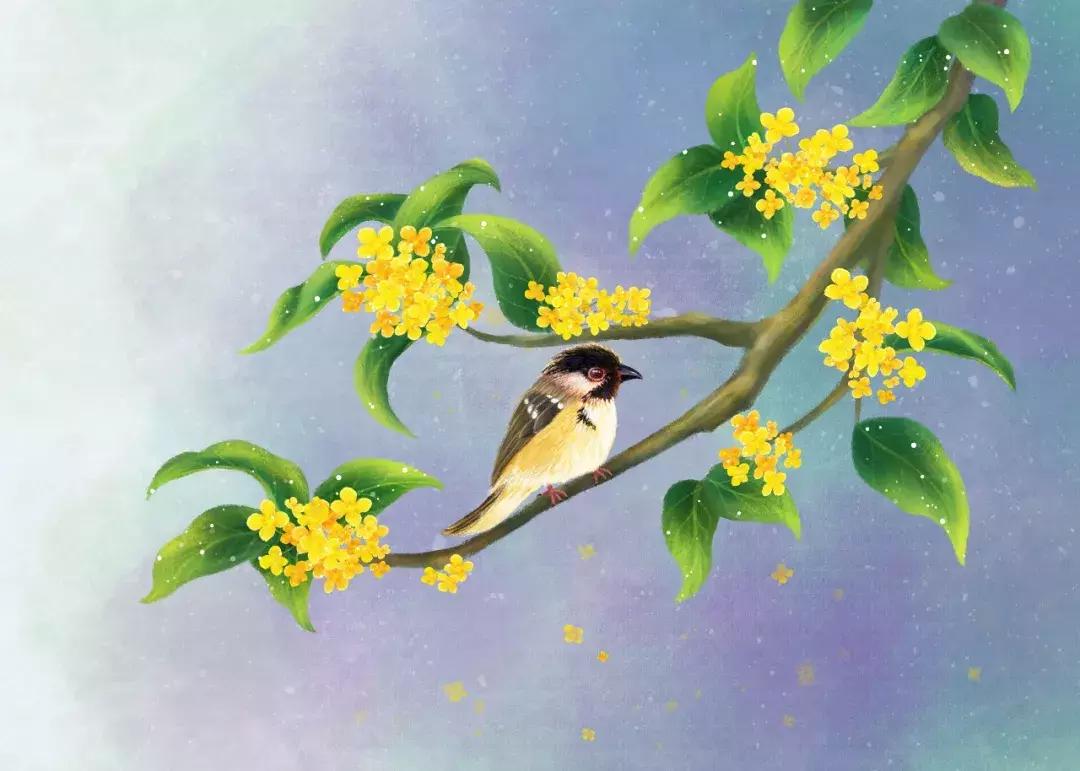 诗词中的桂花香满了整个秋天,十首桂花诗