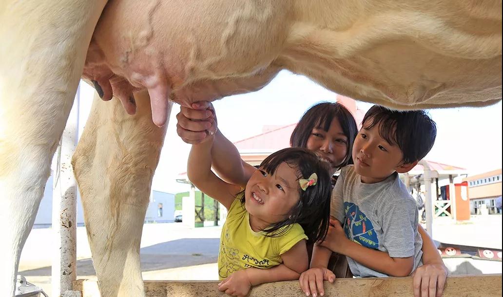 亲子牧场推荐,亲子牧场有哪些