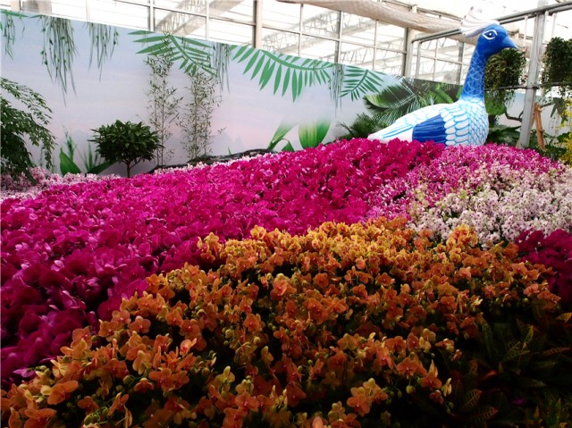 中秋国庆旅游怎么玩的,济南中秋国庆自驾游好去处