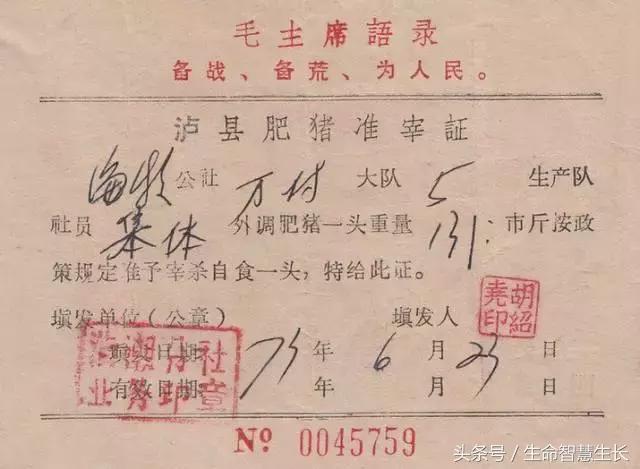 毛*东泽**时代的票证大全，永存于一代人记忆中的难忘岁月！