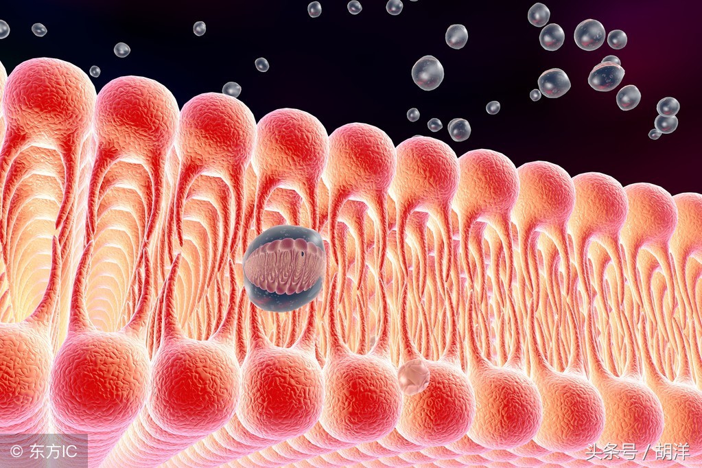 肝脏损伤用护肝药几天能缓解,药吃多了肝脏受损要多久才能恢复