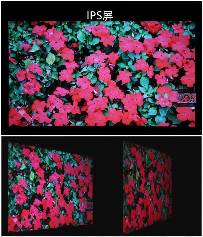 电竞显示器tn面板推荐,铅锤哥