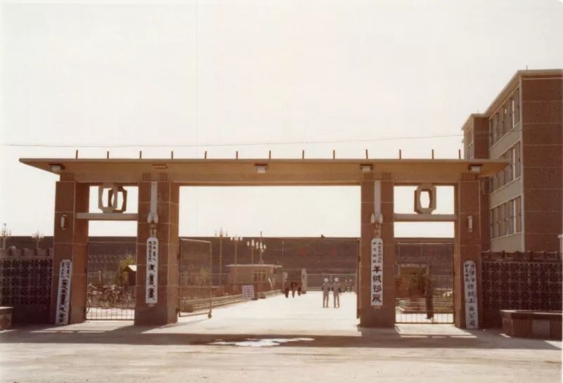 一件羊绒,一件羊绒衫需要多少毛线