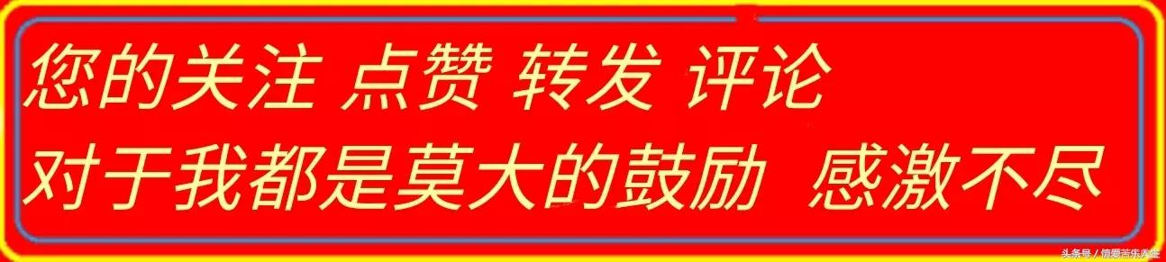 我们的后半生的美文,我们的后半生全集
