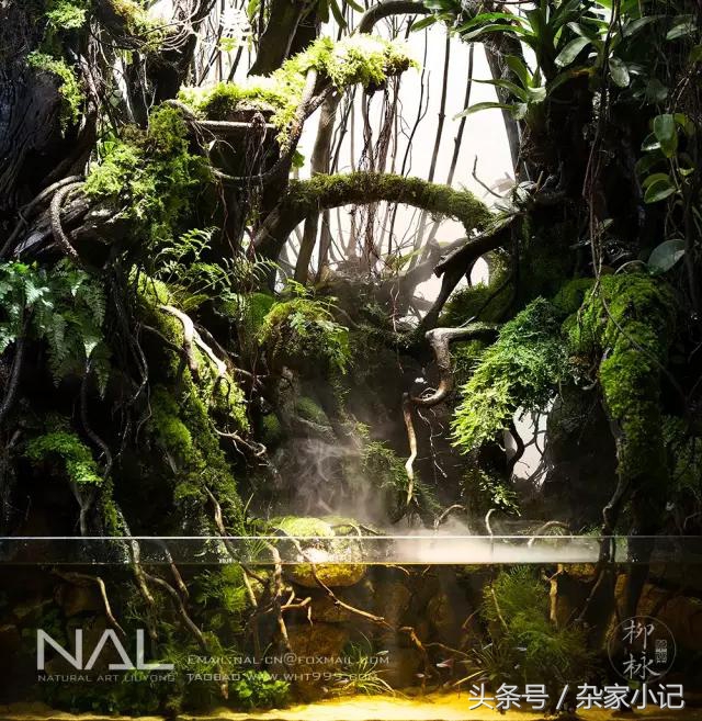 鱼缸造景分类及图解,鱼缸造景分哪些