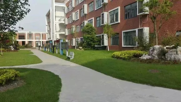 证大中学2020高考榜,证大高中升学率怎么样