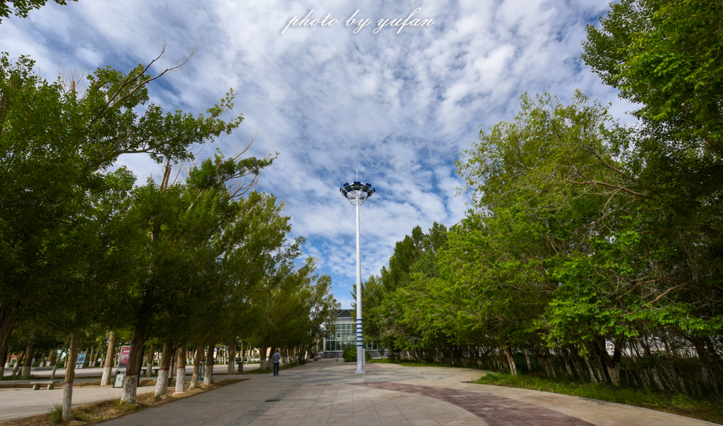 世界上最大的深水沟,世界上最深的沟谷