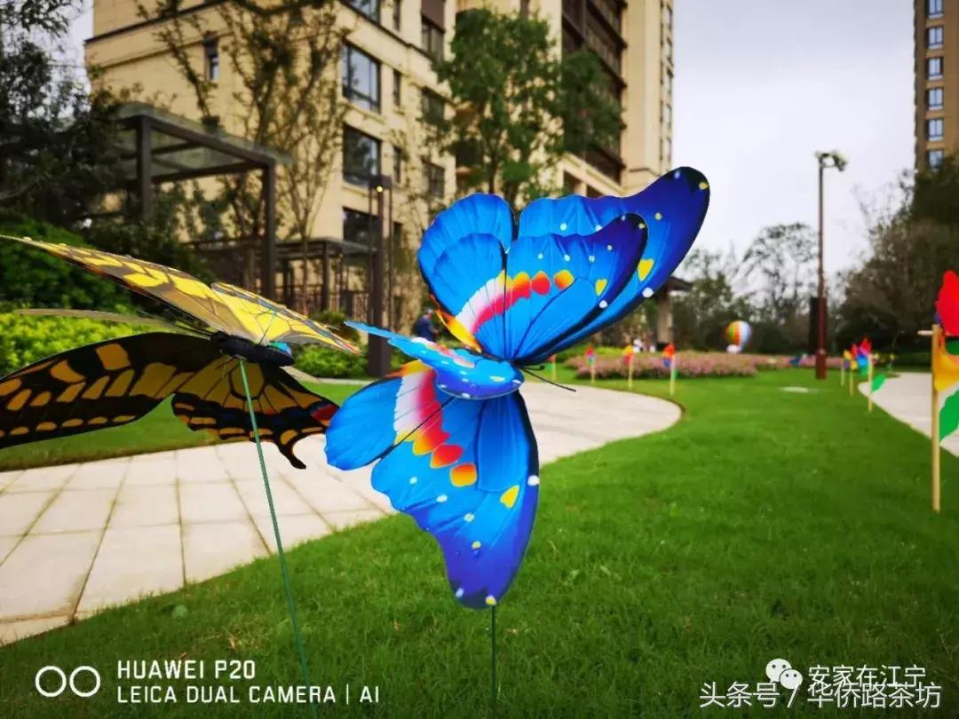 今天江宁神盘交付！实景曝光！二手房价破40000元/㎡！业主笑了……