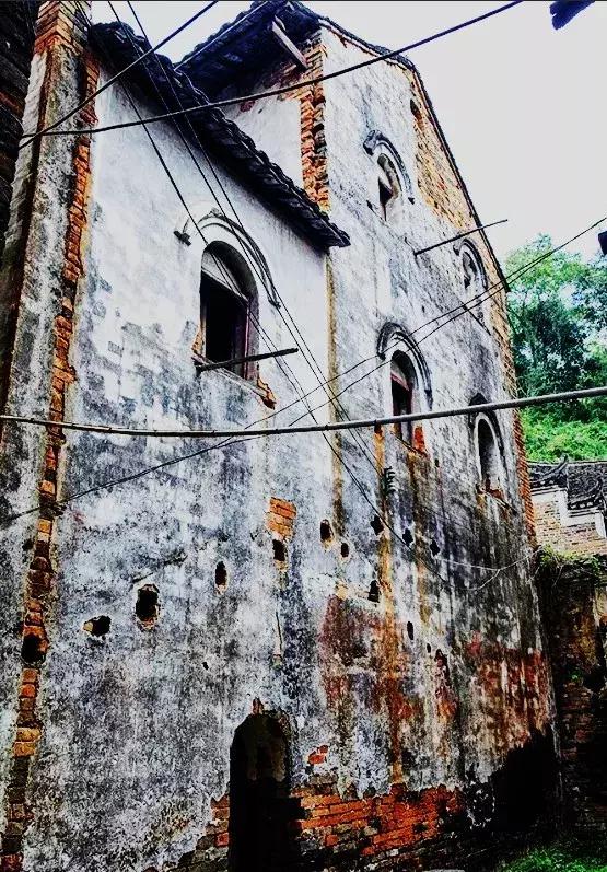 富川山清水秀,富川有树林的地方