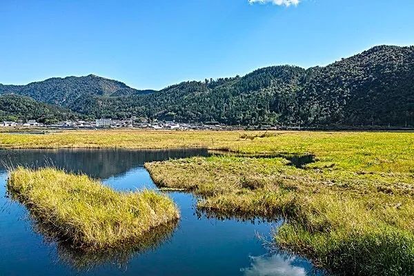 环云南自驾旅游攻略最佳线路,南宁自驾游云南最佳旅游攻略