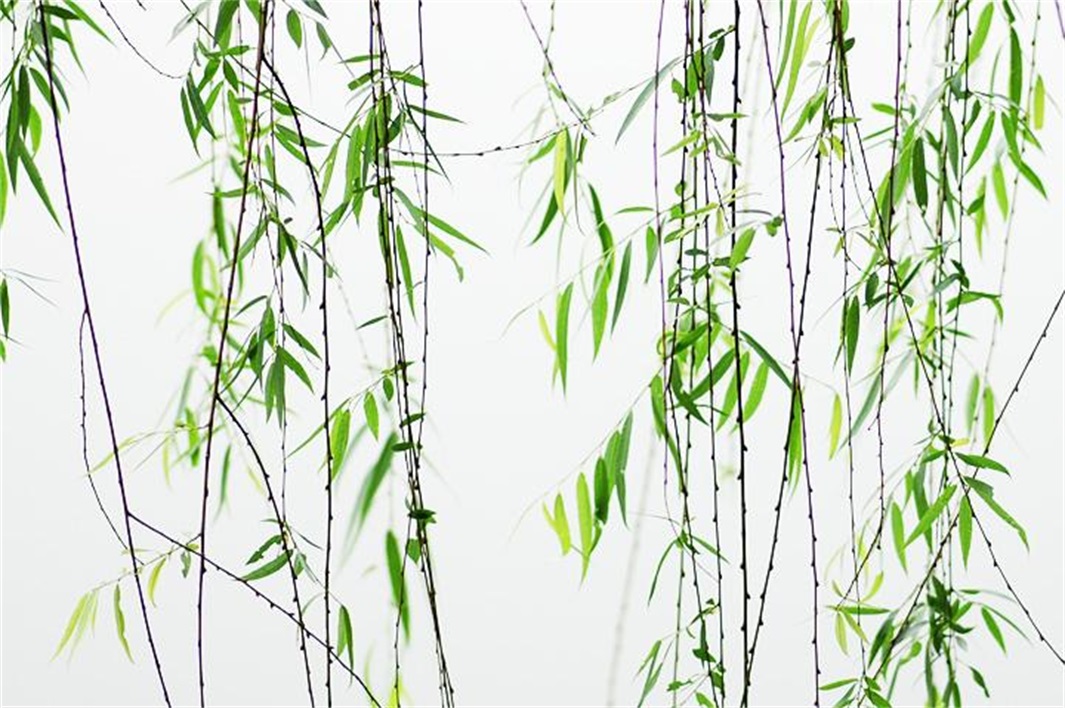 欧阳修评价苏轼的诗句,欧阳修对苏轼的评价