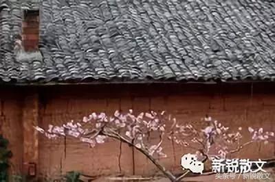 我的家乡肥西丰乐镇,我的家乡丰乐400字