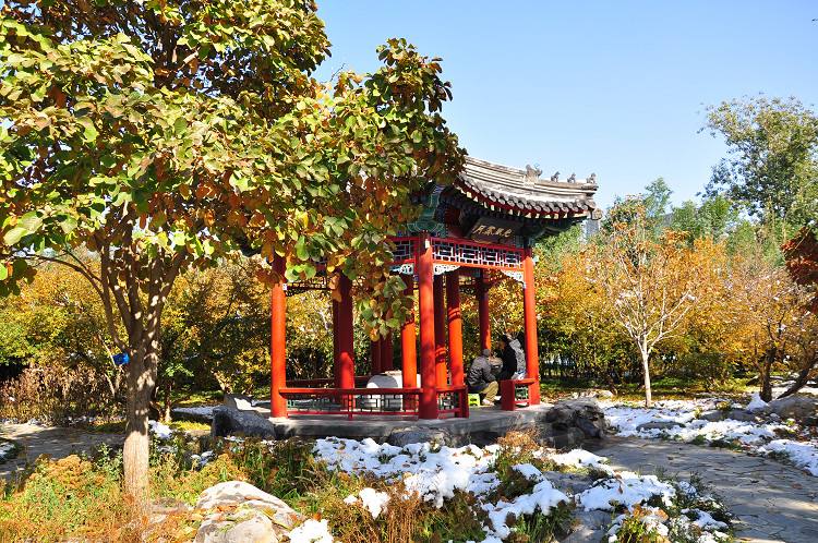 中秋家人来团圆共同赏月,中秋带你一起赏月