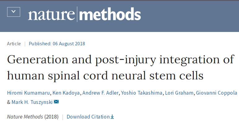 2021干细胞治疗脊髓损伤临床案例,干细胞治疗脊髓损伤最新临床试验
