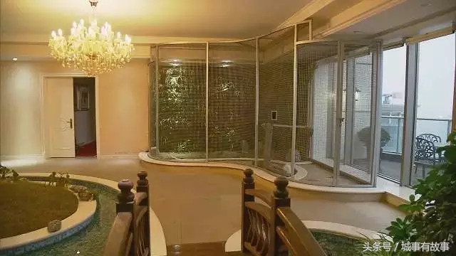 中晋系老板徐勤日常生活开销,中晋系徐勤起家