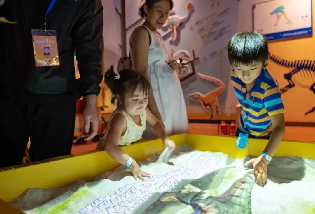 2018cae上海展,2018caac猫展冠军