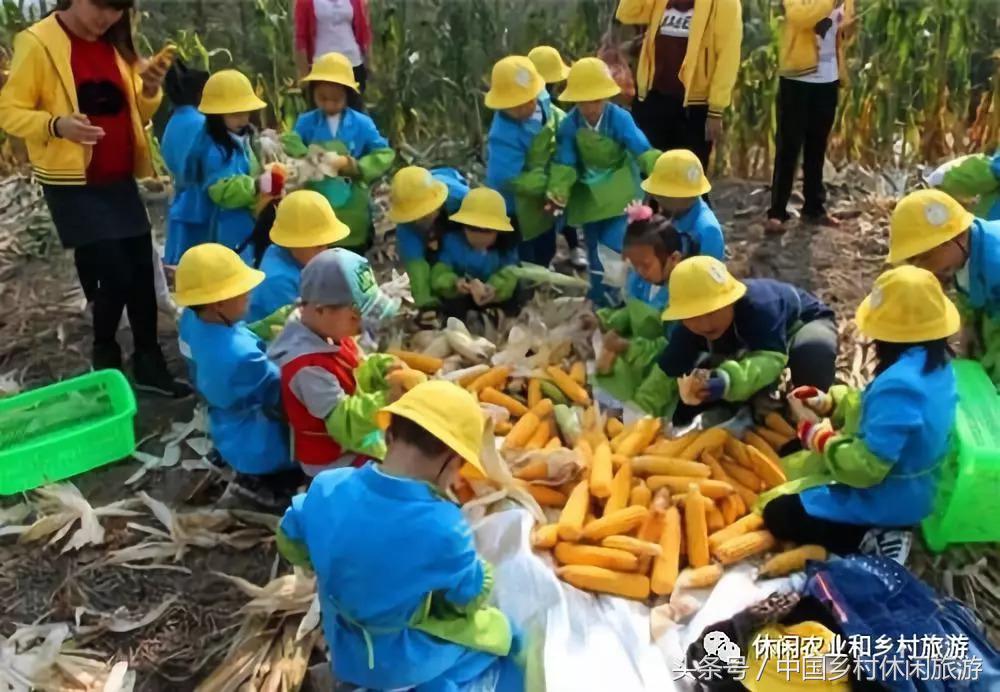 农业体验活动创意项目,休闲农业体验活动评估