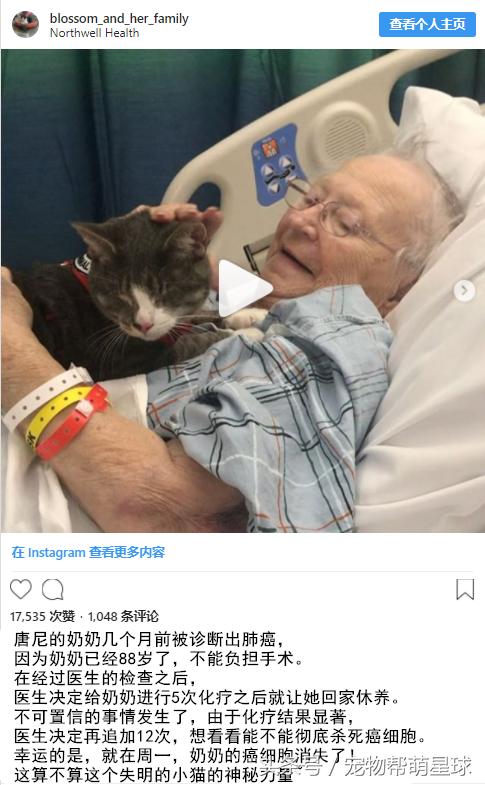 澶辨槑鐨勫皬鐚娌诲ソ,澶辨槑鐨勫皬鐚娌荤枟