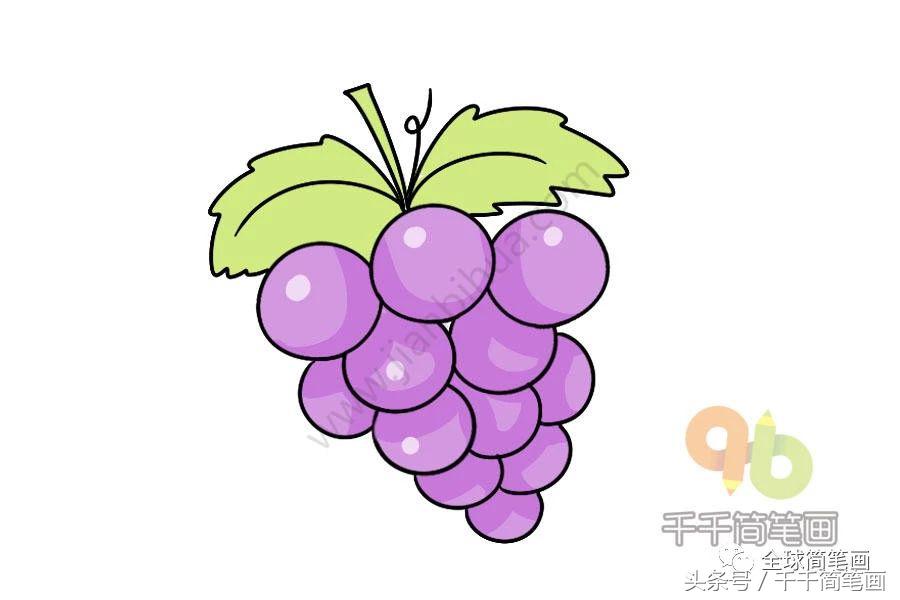 儿歌多多蔬菜水果简笔画,我最喜欢的蔬菜水果简笔画