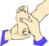 饭后半小时是黄金养生期,养生黄金期是睡前1小时