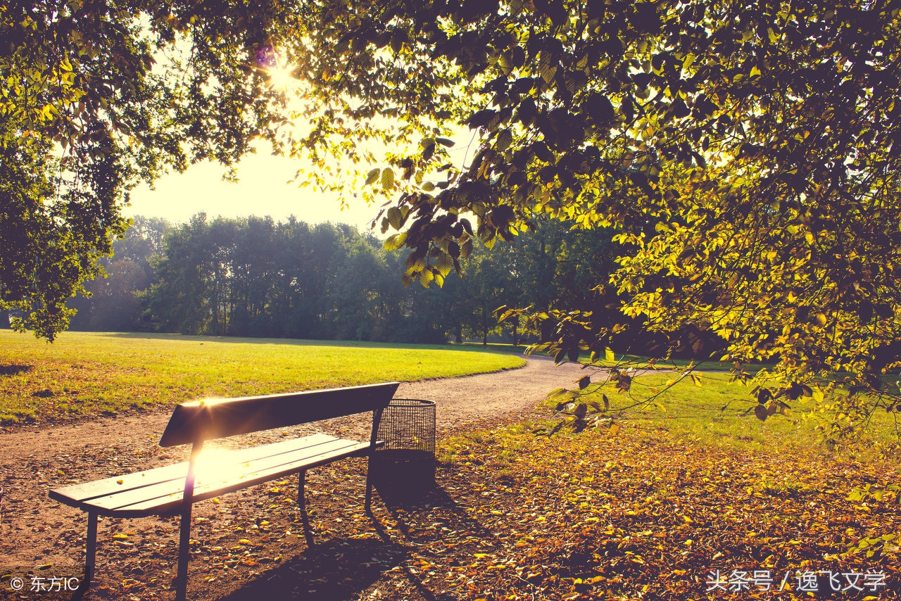 美丽的遇见感言,美丽的遇见在茫茫人海中
