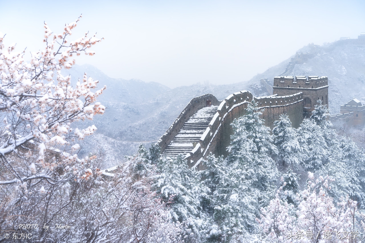 美丽的遇见感言,美丽的遇见在茫茫人海中