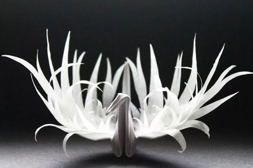 每天折一个千纸鹤,每天折一只纸鹤