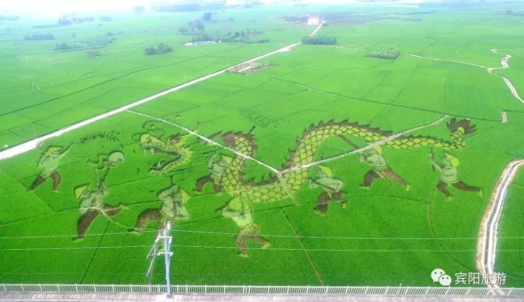 宾阳古辣邀请函,2020年宾阳县古辣