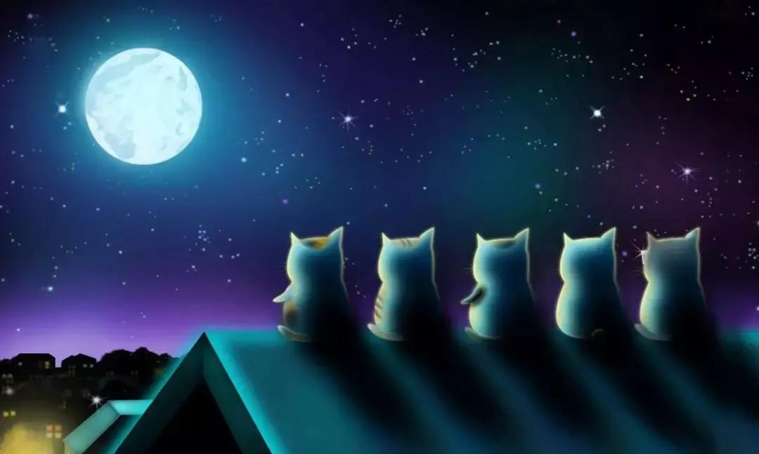 瑁呬慨鍙岃妭淇冮攢鏂规,鍙岃妭娲诲姩瑁呬慨浼樻儬澶氬