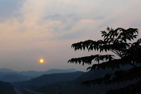 程迁飞董事长,一个走在创业路上的80后老板