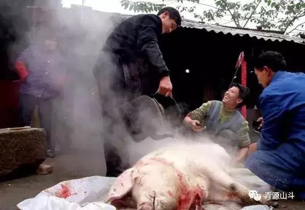 三峡猕猴桃 (中国农民丰收节博山猕猴桃)