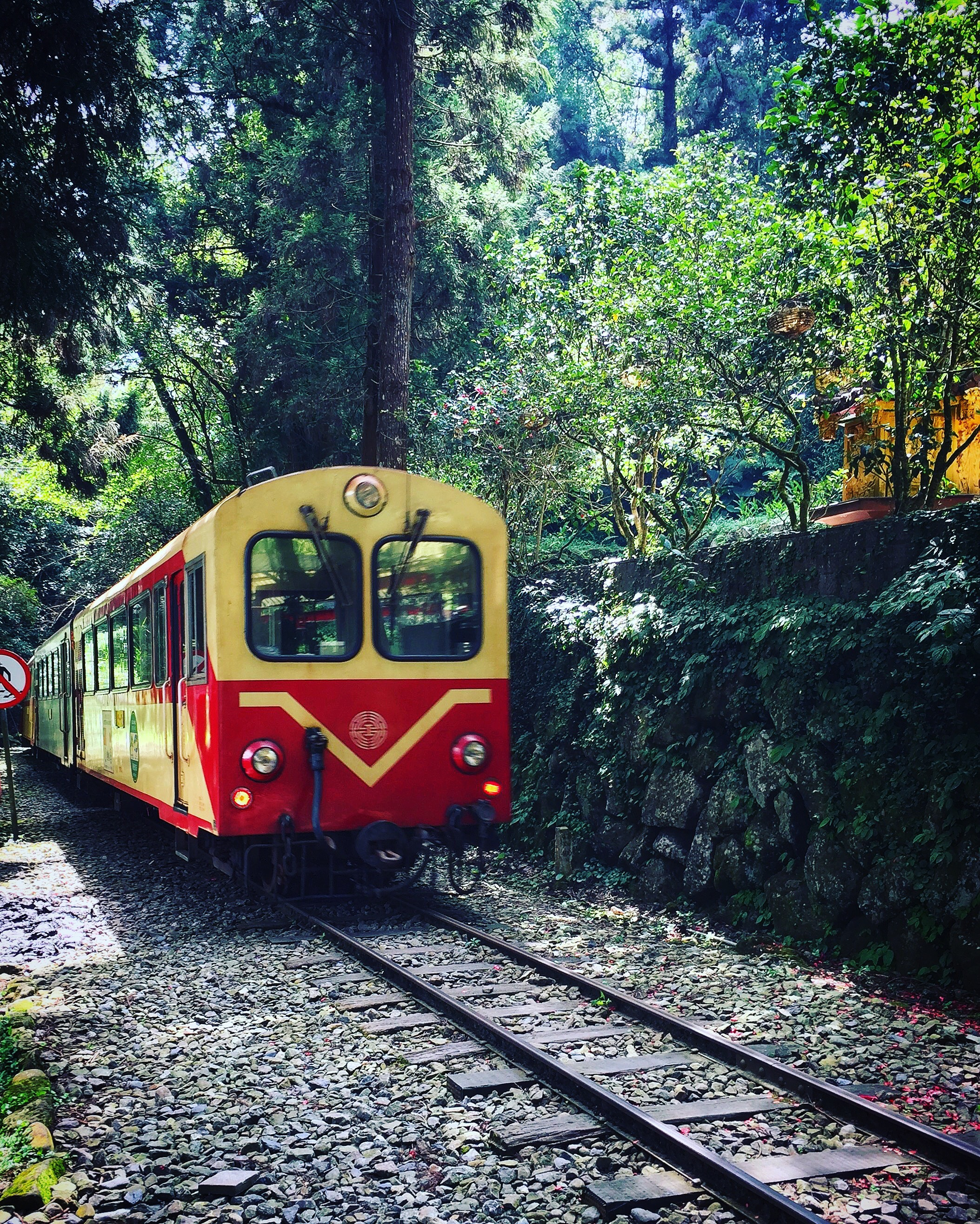 台湾阿里山观光小火车介绍,台湾阿里山旅游小火车