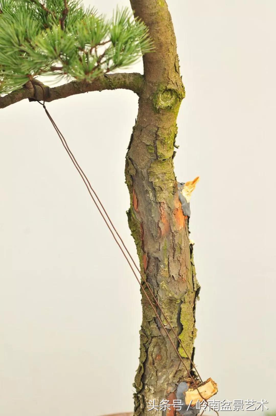 神来之笔绘画作品欣赏,神来之笔书法作品大全