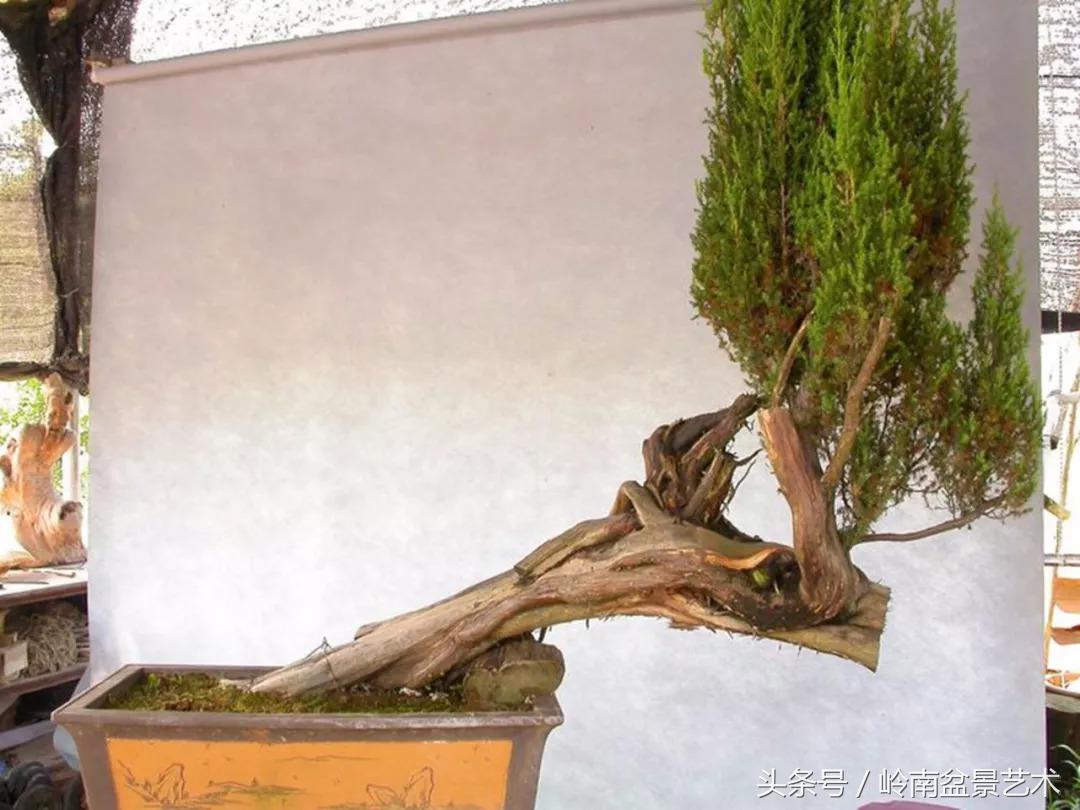 神来之笔绘画作品欣赏,神来之笔书法作品大全