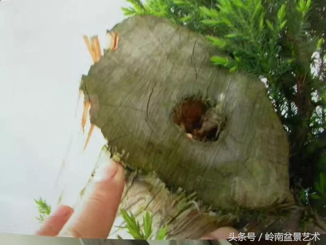 神来之笔绘画作品欣赏,神来之笔书法作品大全