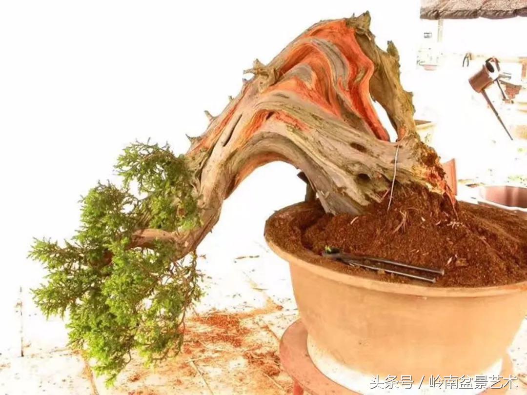 神来之笔绘画作品欣赏,神来之笔书法作品大全