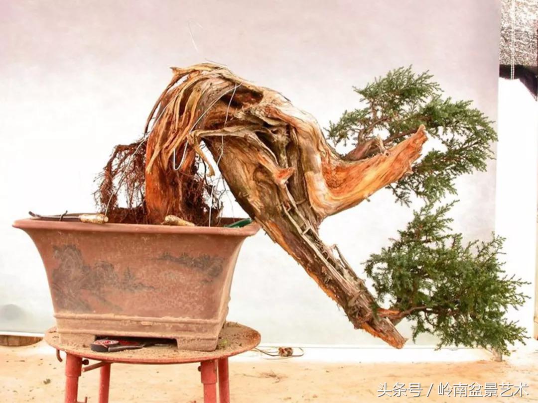 神来之笔绘画作品欣赏,神来之笔书法作品大全