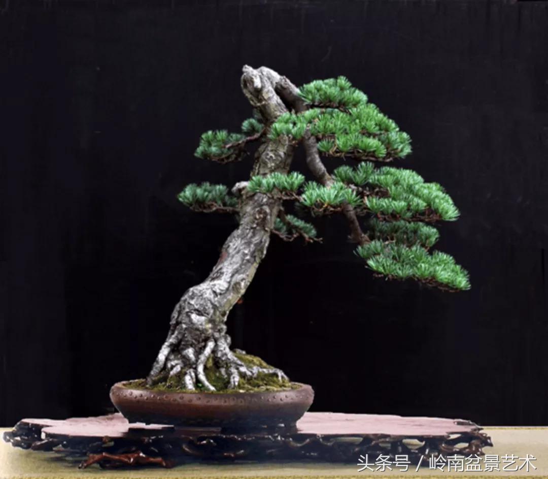 神来之笔绘画作品欣赏,神来之笔书法作品大全