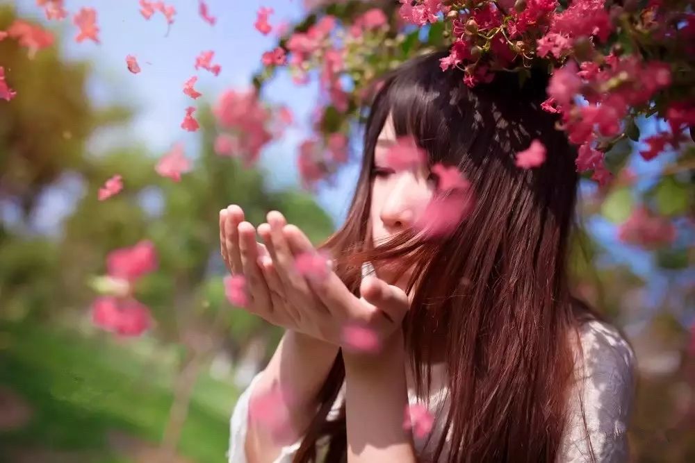 最好看的紫薇花美景,初秋靓丽的紫薇花