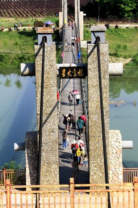 最好看的紫薇花美景,初秋靓丽的紫薇花