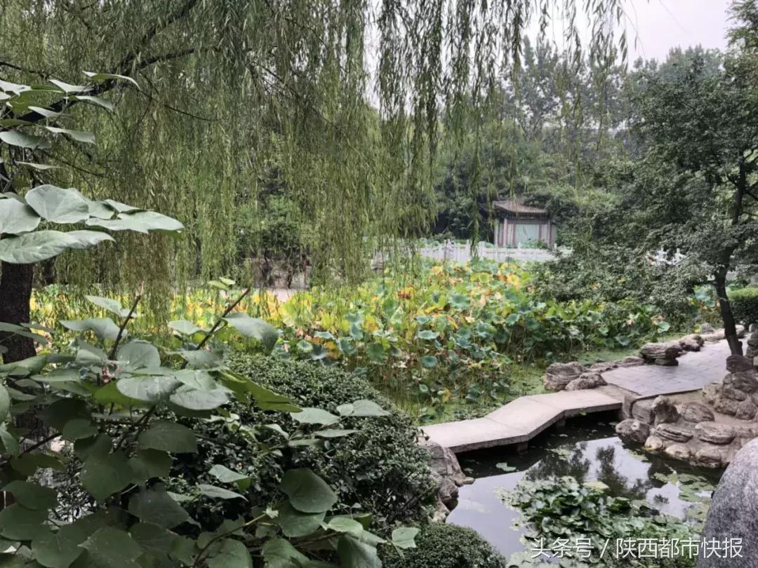 西安被遗忘的公园,西安被人遗忘的公园