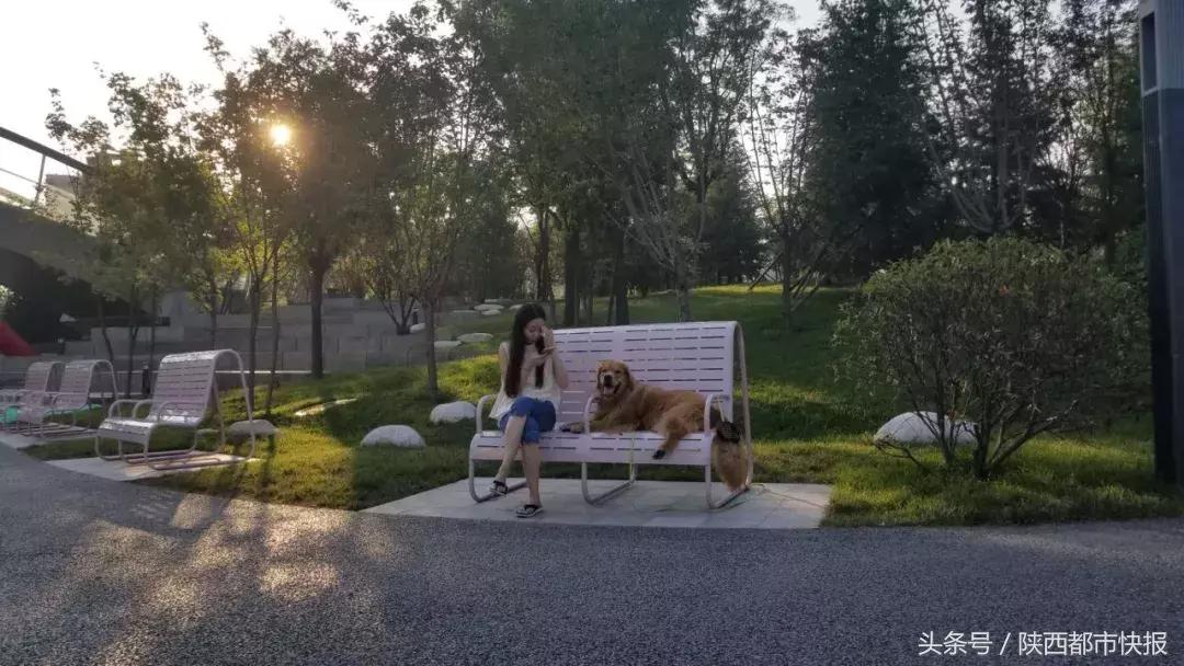 西安被遗忘的公园,西安被人遗忘的公园