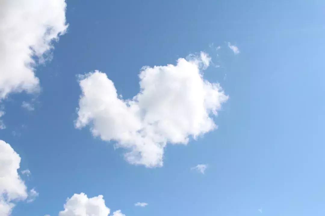 全新一代瑞虎8秘境雨林深度体验 (开19款1.6t豪华版瑞虎8自驾游)