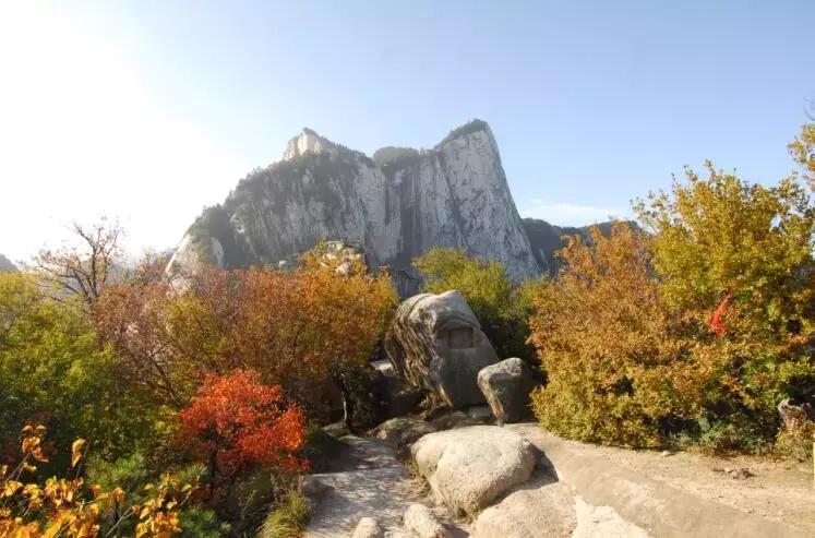 秋游必带的东西,夏季游华山必带物品