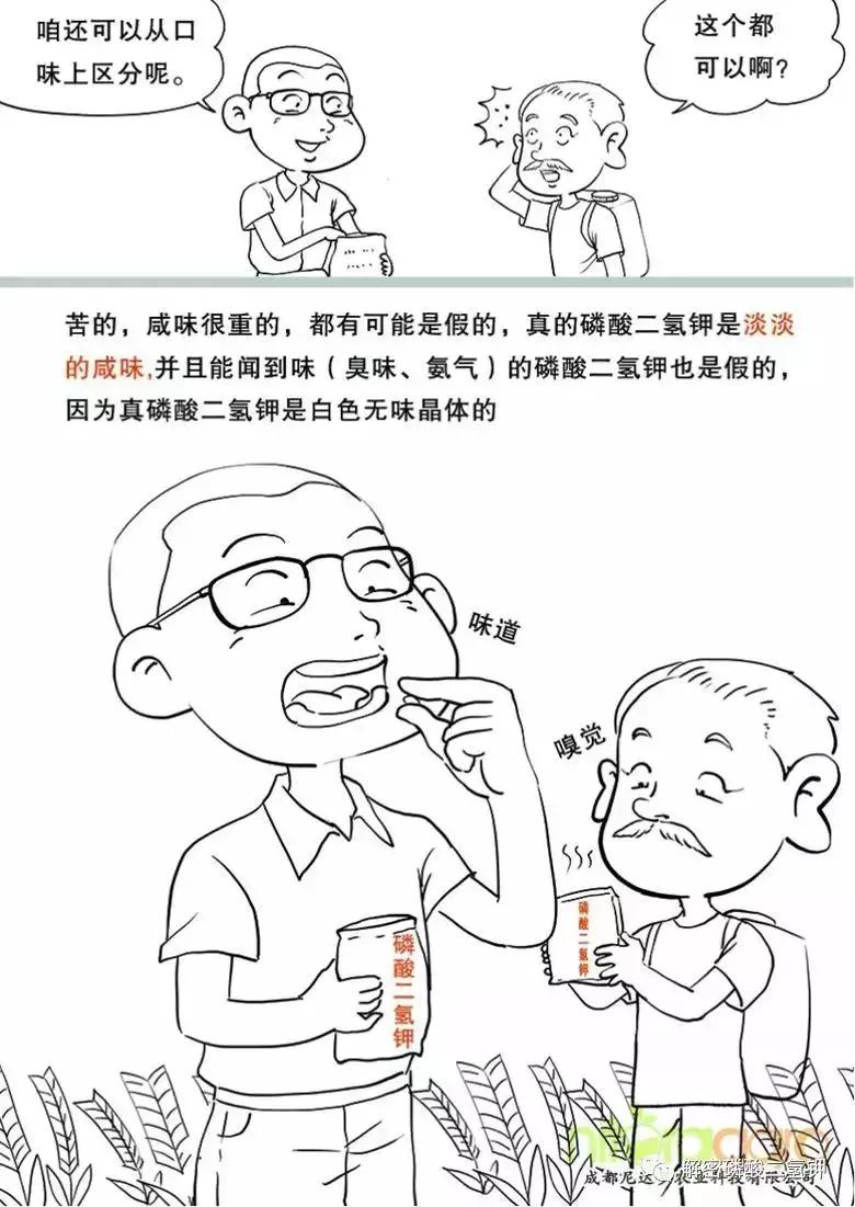 磷酸二氢钾用在叶菜效果如何,磷酸二氢钾对小麦怎样用高产